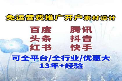 SEM代运营经典案例解析与启示
