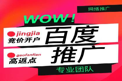 某公司信息流广告的精准投放与效果评估